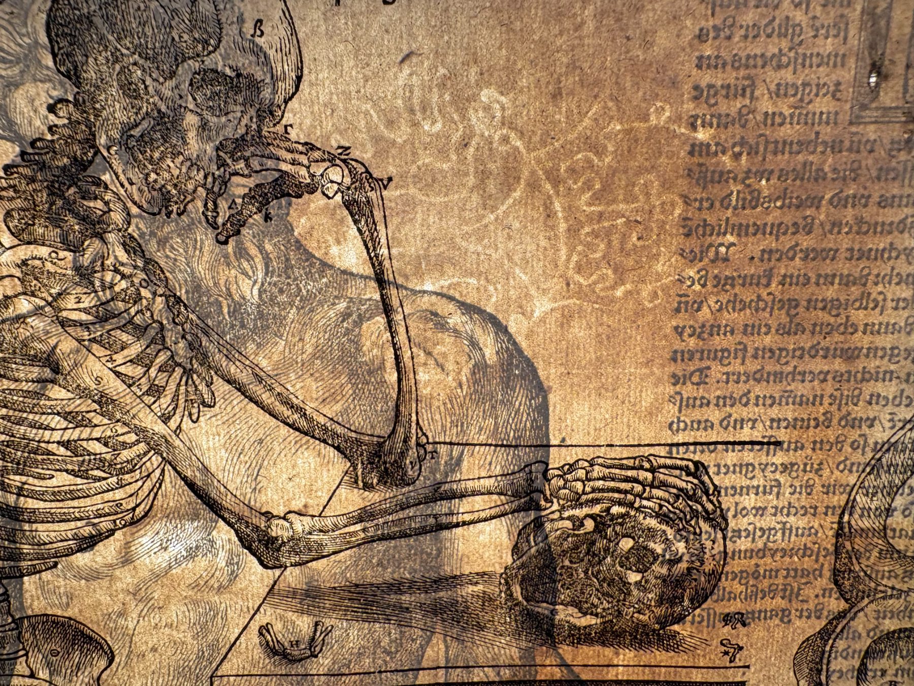 The German Epitome of Andreas Vesalius, 1543, open on the bench